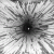 /_bd/92/03836459.gif